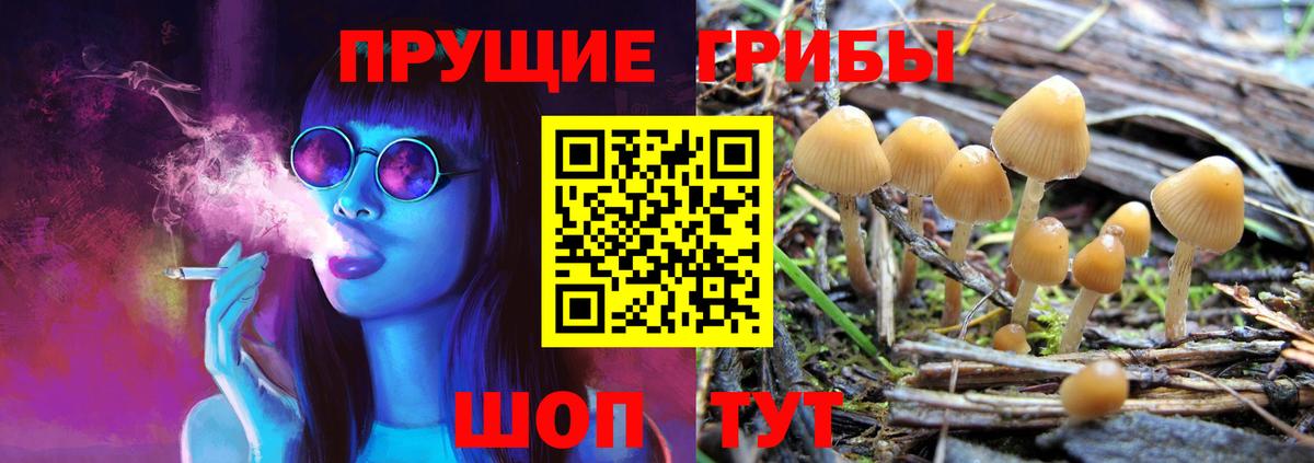 Удомля  Галлюциногенные грибы мицелий  Вход с VPN 